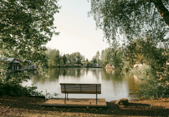 Banco frente a un lago tranquilo rodeado de árboles en el Chalet «Chocolat» en Bélgica, ambiente sereno.