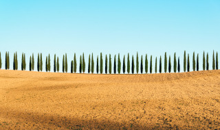 Siena, Toscana, Italia