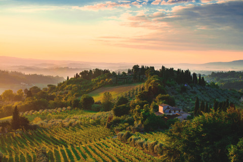 Landschaft bei Siena in der Toskana, Italien, bei Sonnenuntergang mit Hügeln, Weinbergen und Landhaus.