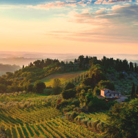 Heuvels en wijngaarden rond Siena, Toscane, Italië bij zonsondergang, met een huis omringd door groen.