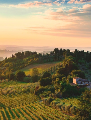 Paisaje al atardecer cerca de Siena, Toscana, Italia, con colinas, viñedos y una casa de campo rodeada de vegetación.