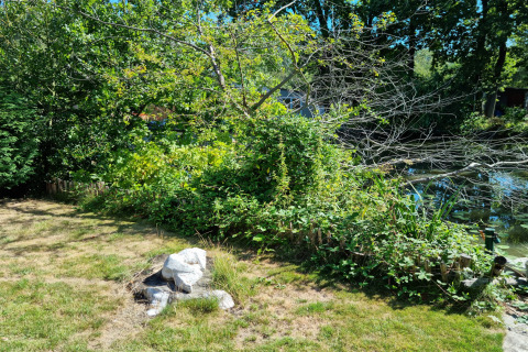 Jardín verde con árboles, arbustos y una pequeña fogata en el chalet Casita La Luna en Bélgica, soleado.