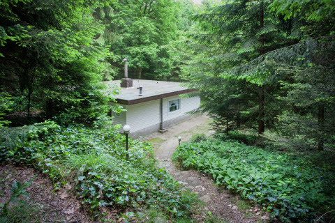 Una cabaña llamada Forest House the Squirrel se encuentra entre frondosos árboles en un bosque de Bélgica.
