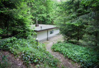 A lodge called Forest House the Squirrel nestles among lush green trees in a Belgian forest setting.
