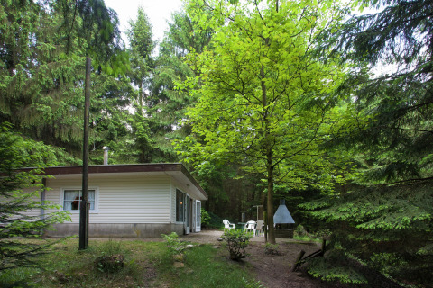 Le lodge Forest House the Squirrel en Belgique, entouré de verdure et d’arbres dans un cadre paisible.