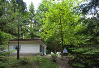 Il lodge Forest House the Squirrel in Belgio, immerso nei boschi verdi con sedie all'aperto e alberi.