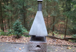 Caminetto esterno a Forest House the Squirrel in Belgio, circondato da alberi e foglie autunnali a terra.