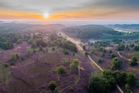 Vista aerea del paesaggio con alberi e sentieri all’alba vicino a Forest House the Squirrel in Belgio.