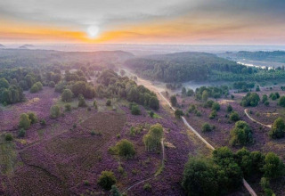 Aerial view of a scenic landscape with trees and trails at sunrise near Forest House the Squirrel in Belgium.