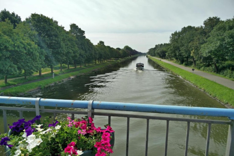 Vista desde un puente con flores hacia un río, barco y árboles verdes, tomada en un glamping.