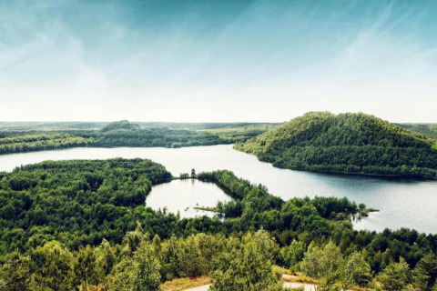 Vista de colinas boscosas y río desde la cabaña Forest House the Squirrel en Bélgica bajo cielo despejado.