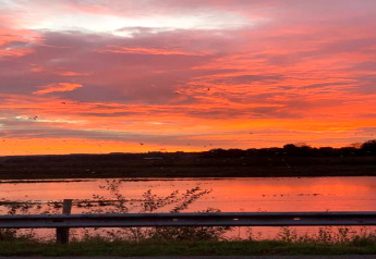 Splendido tramonto sul lago al glamping, il cielo si illumina di vivaci sfumature arancioni e rosa.