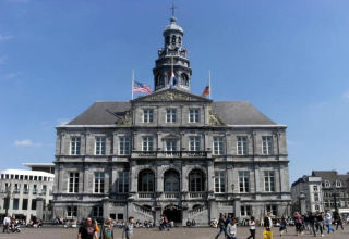 Persone camminano davanti a uno storico municipio con bandiere e torre su una piazza europea vivace.
