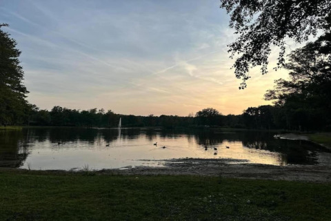 Vista de un lago al atardecer desde el alojamiento Forest House the Squirrel en Bélgica, con patos en el agua.