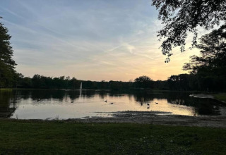 Vista de un lago al atardecer desde el alojamiento Forest House the Squirrel en Bélgica, con patos en el agua.