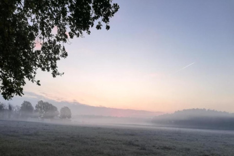 Misty morning view over a field with trees and soft sunrise sky at Forest House the Squirrel, Belgium.