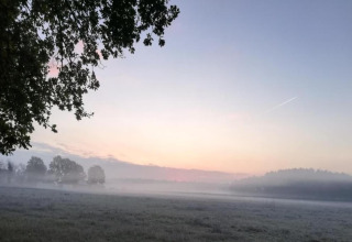 Vista matutina con niebla sobre un campo y árboles al amanecer en Forest House the Squirrel, Bélgica.