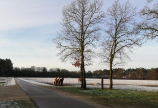 Paysage hivernal à Forest House the Squirrel en Belgique, avec des arbres, une route et des chevaux.