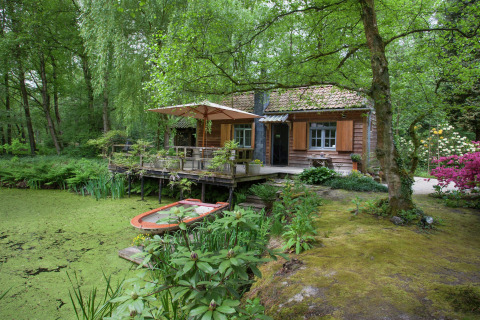 Knus houten huisje aan groene vijver, midden in het groen bij The Wijerschans in België.