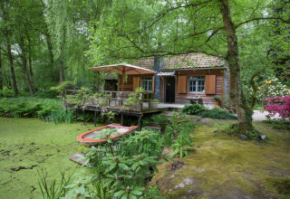 Knus houten huisje aan groene vijver, midden in het groen bij The Wijerschans in België.