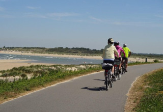 Ciclismo junto al mar - Camping Zonneweelde - Nieuwvliet, Zelanda, Países Bajos