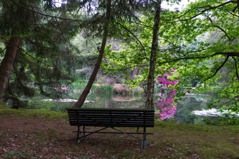 Bankje aan het water met groene bomen en roze bloemen bij The Wijerschans, Belgisch natuurgebied.