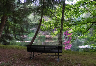 Bankje aan het water met groene bomen en roze bloemen bij The Wijerschans, Belgisch natuurgebied.
