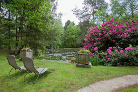 Twee ligstoelen bij een vijver met roze bloemen en bomen aan het huisje The Wijerschans in België.