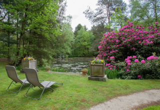 Twee ligstoelen bij een vijver met roze bloemen en bomen aan het huisje The Wijerschans in België.