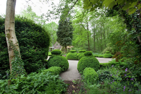 Groene tuin met keurig gesnoeide struiken bij de blokhut 'The Wijerschans' in België.