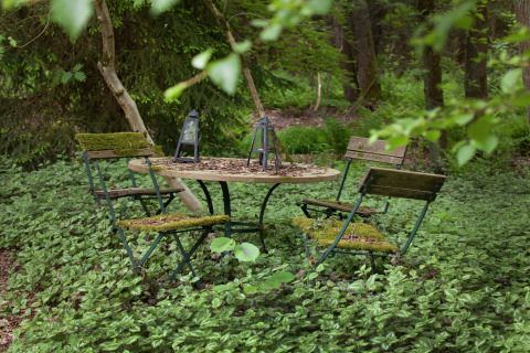 Een mosbedekte tafel en drie stoelen in een groen bos bij The Wijerschans hut in België.
