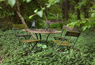 Een mosbedekte tafel en drie stoelen in een groen bos bij The Wijerschans hut in België.