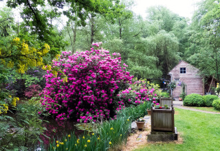 Idyllische tuin met kleurrijke bloemen, groene bomen en chalet bij The Wijerschans in België.