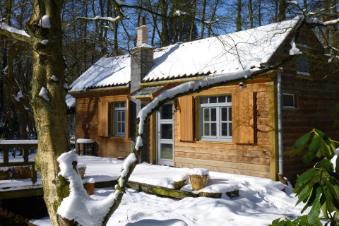 Houten huisje The Wijerschans in België, gelegen in een besneeuwd bos met zonlicht op het dak.