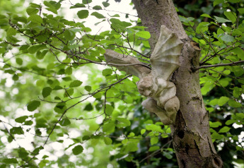 Stone gargoyle figure with wings attached to a tree amid green leaves near The Wijerschans cabin in Belgium.