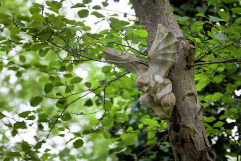 Stenen gargouille met vleugels bevestigd aan een boom tussen groene bladeren nabij The Wijerschans in België.