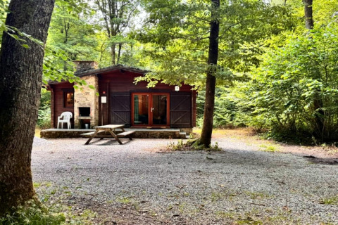 Chalet OREE DU BOIS in het bos, houten chalet met picknicktafel en stoel op grind, omgeven door bomen.