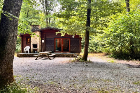 Chalet OREE DU BOIS en el bosque, cabaña de madera con mesa de picnic y silla sobre grava, rodeada de árboles.