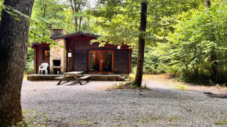 Chalet OREE DU BOIS en forêt, cabane en bois avec table de pique-nique et chaise sur un sol en gravier.