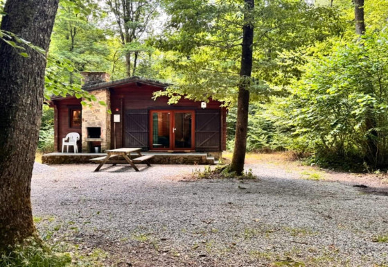 Chalet OREE DU BOIS en el bosque, cabaña de madera con mesa de picnic y silla sobre grava, rodeada de árboles.