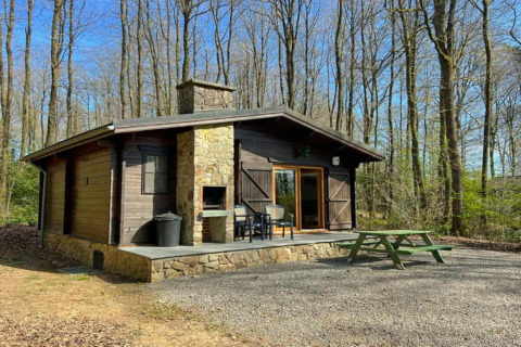 Le chalet LIJSTERNEST en bois avec terrasse en pierre, barbecue et banc vert au cœur de la forêt.