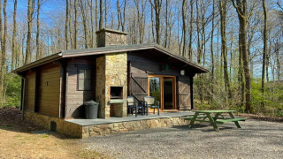 Le chalet LIJSTERNEST en bois avec terrasse en pierre, barbecue et banc vert au cœur de la forêt.