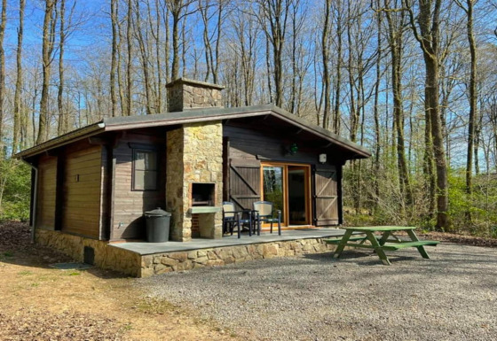 Le chalet LIJSTERNEST en bois avec terrasse en pierre, barbecue et banc vert au cœur de la forêt.