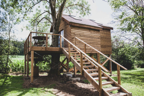 Casa sull’albero Bird Nest con scale e terrazza in legno, immersa nel verde in una giornata di sole.