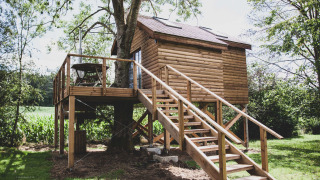 Casa sull’albero Bird Nest con scale e terrazza in legno, immersa nel verde in una giornata di sole.
