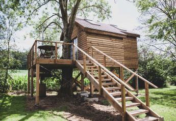 Casa sull’albero Bird Nest con scale e terrazza in legno, immersa nel verde in una giornata di sole.