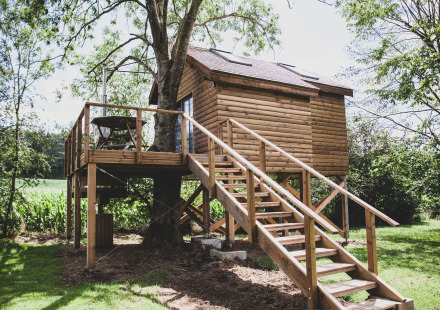 Boomhut Bird Nest met houten trap en terras, omgeven door bomen en gras op een zonnige dag.