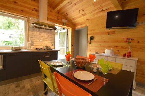Modern kitchen and dining area with wood walls and colorful chairs at Le Chalet Chaleureux A in Belgium.