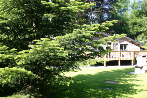 A photo of a glamping accommodation with a wooden cabin, green lawn and conifer trees in the foreground.