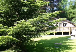 Ein Foto einer Glamping-Unterkunft mit einer Holzhütte, grüner Wiese und Nadelbaum im Vordergrund.